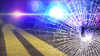 Driver killed in Platte County crash