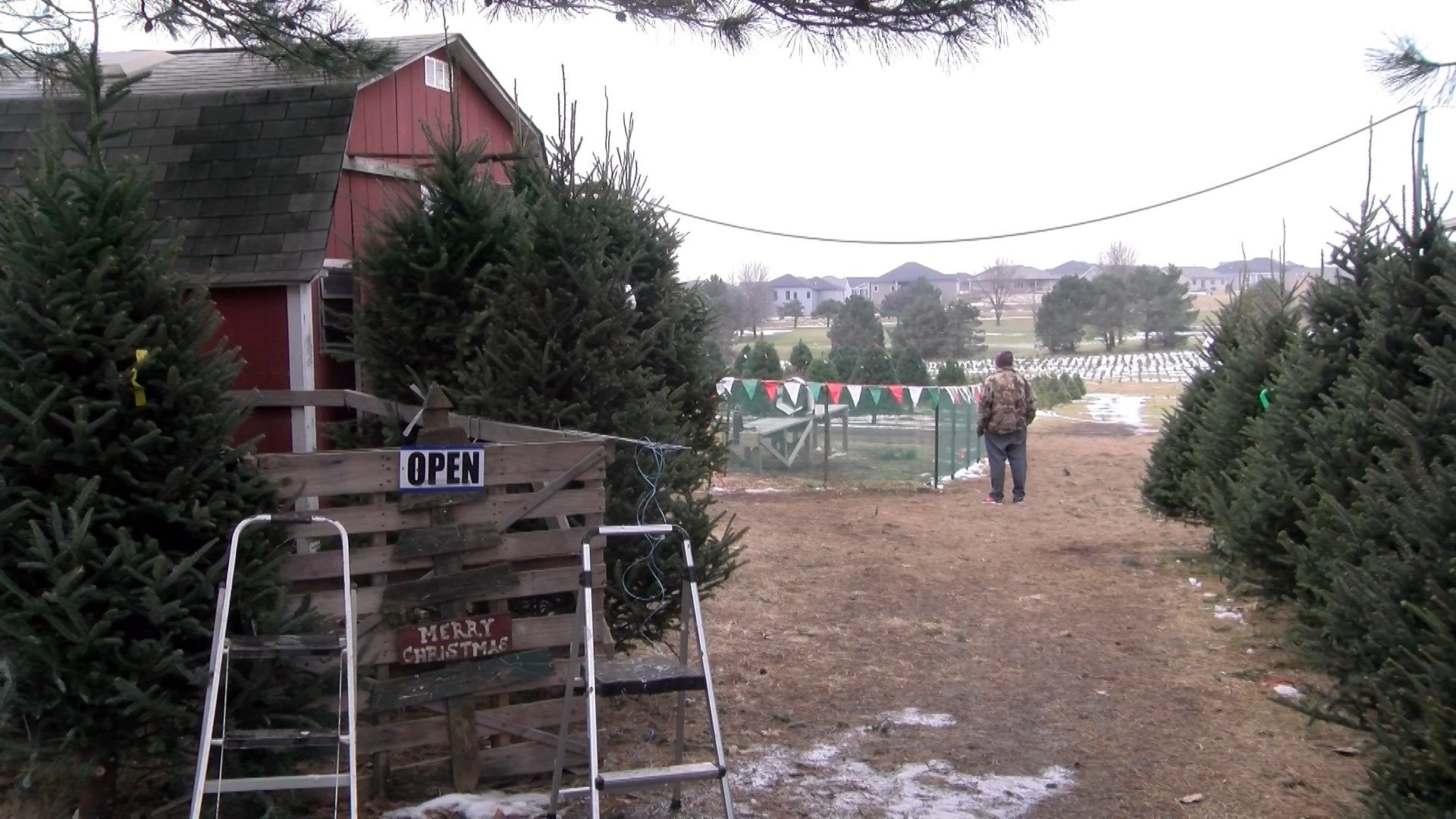 Tree farm offers fulfillment to the Prior family, cherished memories for all in Lincoln KLKN