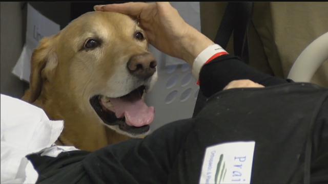 Bryan Health Second Sunday Report: Meet Maya the Therapy Dog-May 2018