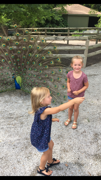 You%20at%20the%20Zoo%21%20