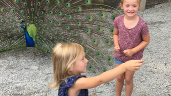 You%20at%20the%20Zoo%21%20