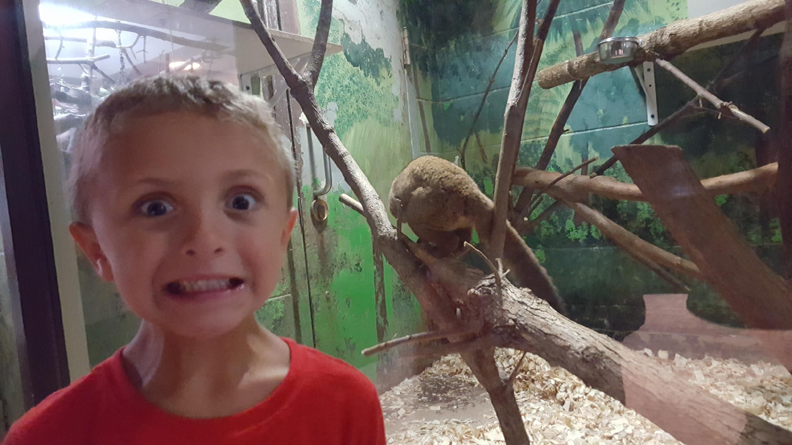 You%20at%20the%20Zoo%21