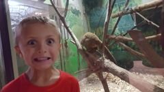 You%20at%20the%20Zoo%21