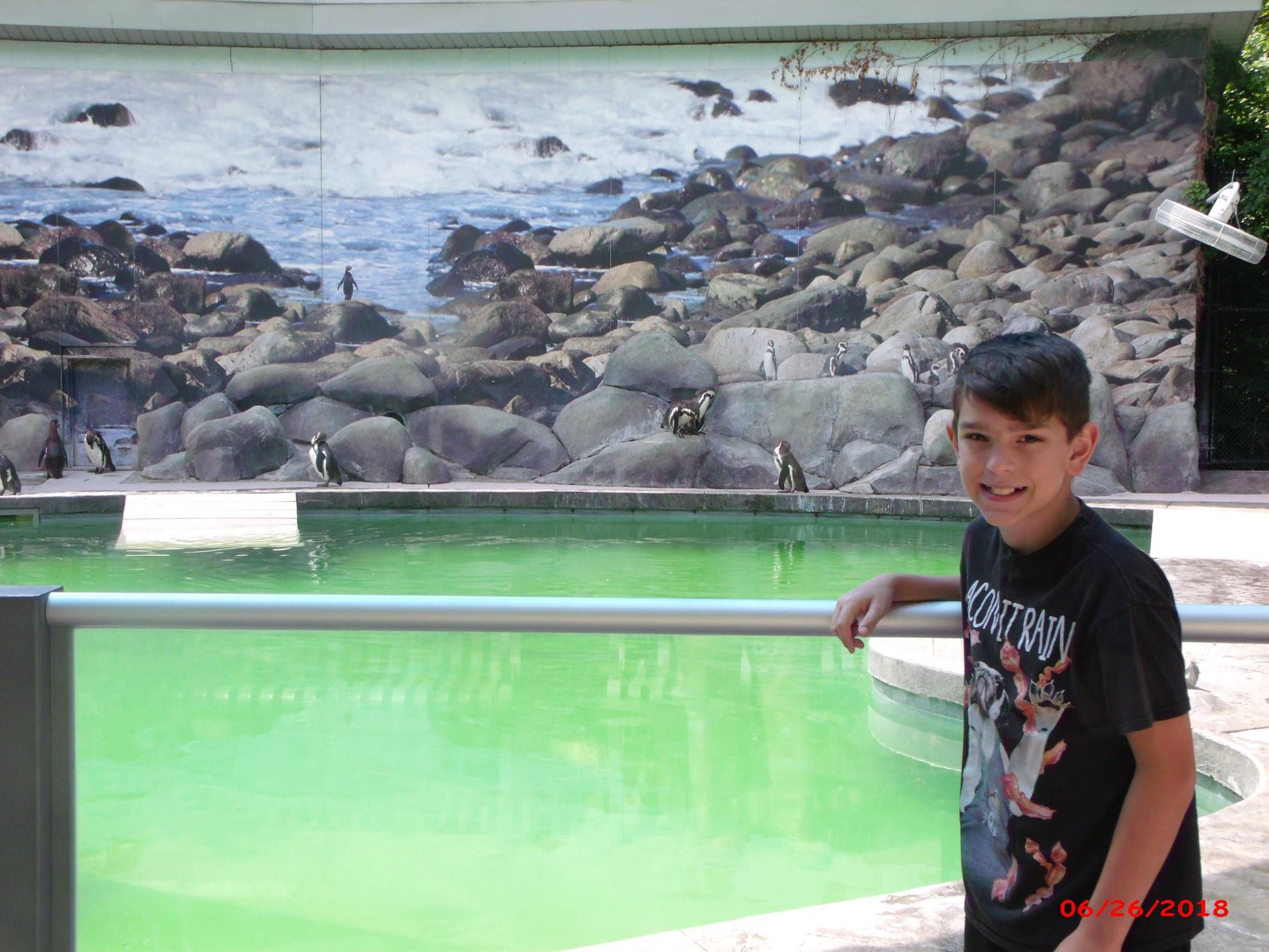 You%20at%20the%20Zoo%21%20