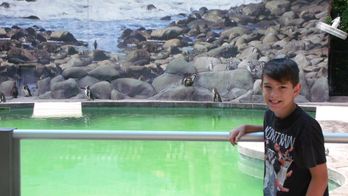 You%20at%20the%20Zoo%21%20