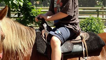 You%20at%20the%20Zoo%21%20