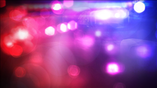 Two men charged with animal cruelty