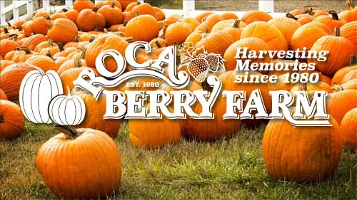 Roca Berry Farm Family Fun Contest 2019