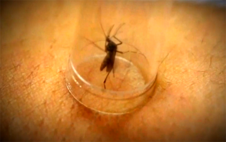 West Nile virus found in 4 mosquito pools around Omaha-area