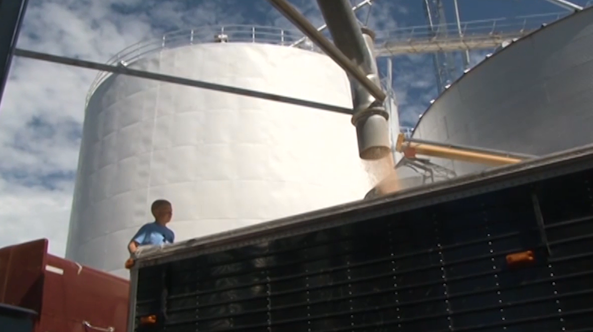 Campaign to remind farmers of grain bin dangers