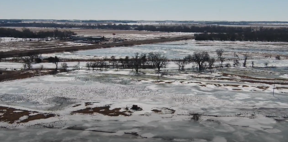 More federal help on the way for Nebraska ag