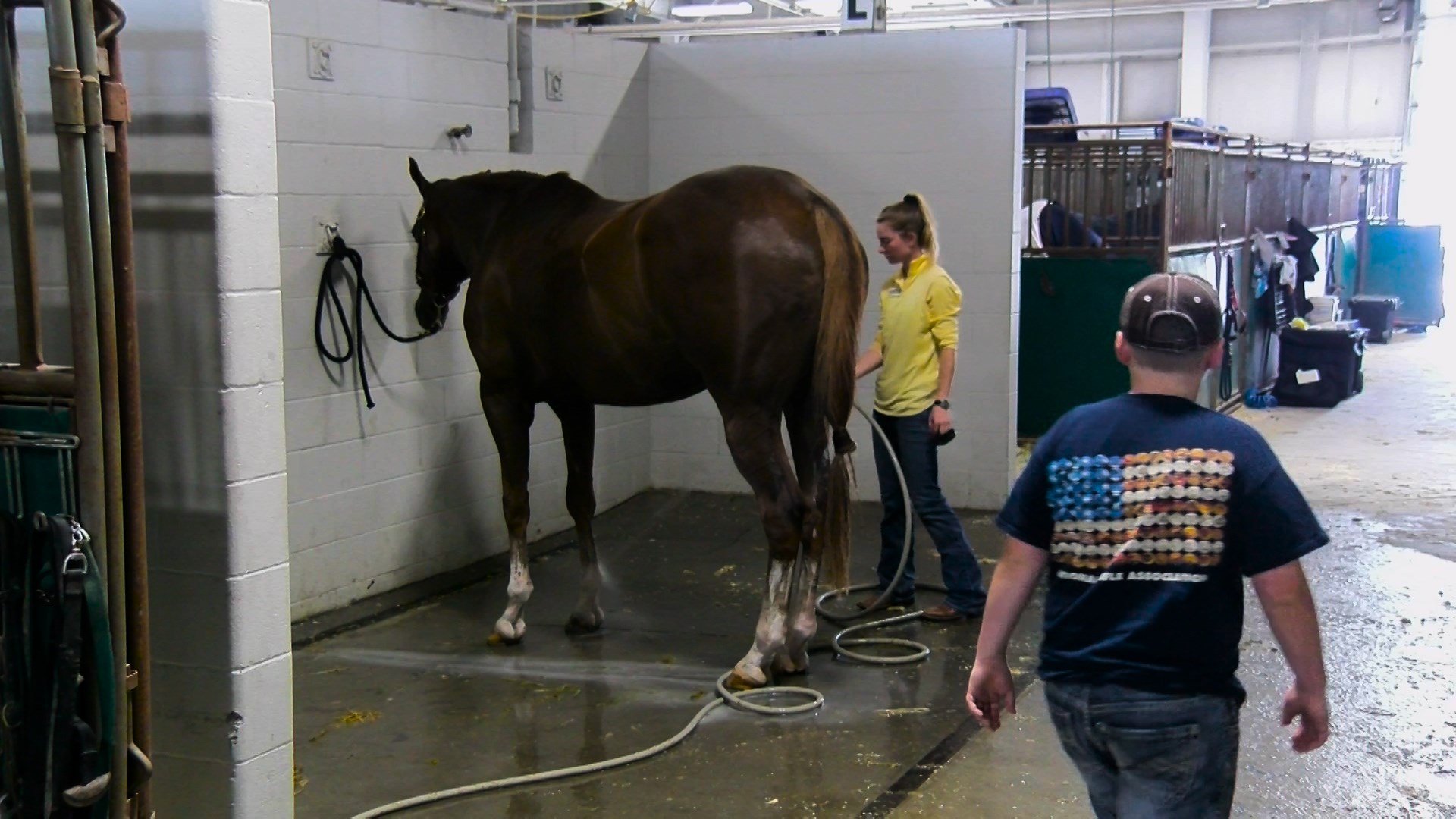 Lancaster County hosts 8th largest Quarter Horse Show