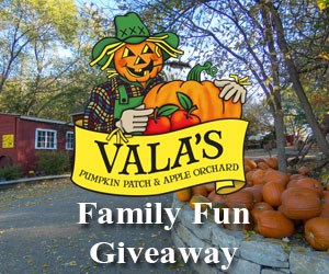 Vala's Family Fun Giveaway 2019
