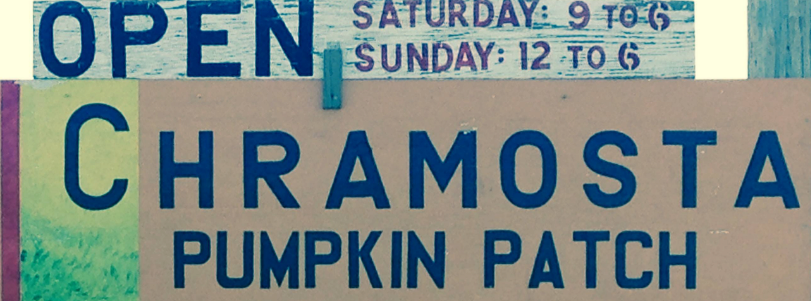 Chramosta Pumpkin Patch in Gibbon closed for season