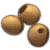 Soy Biodiesel
